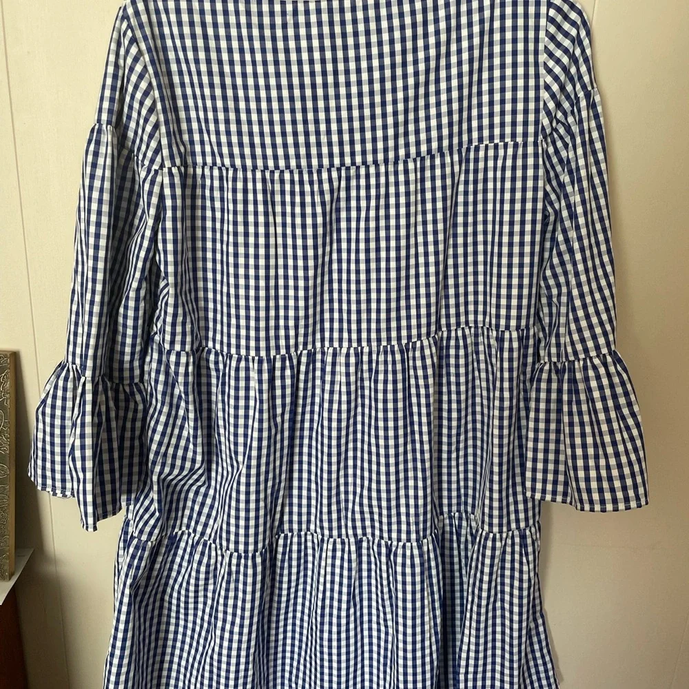 Ripe Blue Gingham Mini Dress - Picture 4 of 7